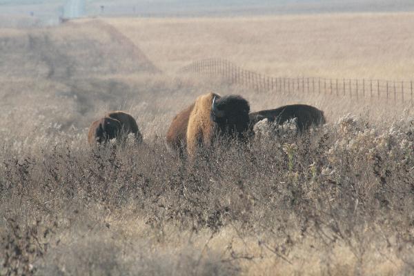  Bildname: IMG_4975.JPG 
 Breite: 3888 Pixel 
 H�he: 2592 Pixel 
 Gr�sse: 3.821 kB 