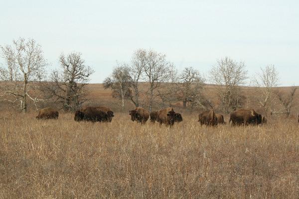  Bildname: IMG_5230.JPG 
 Breite: 3888 Pixel 
 H�he: 2592 Pixel 
 Gr�sse: 4.870 kB 