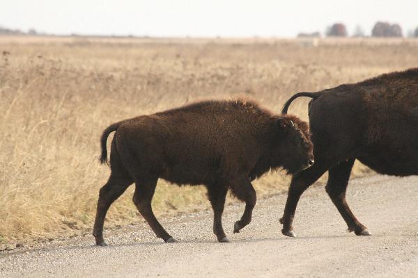  Bildname: IMG_5240.JPG 
 Breite: 3888 Pixel 
 H�he: 2592 Pixel 
 Gr�sse: 3.813 kB 