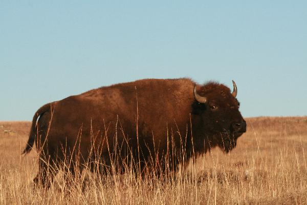  Bildname: IMG_5627.JPG 
 Breite: 3888 Pixel 
 H�he: 2592 Pixel 
 Gr�sse: 3.698 kB 