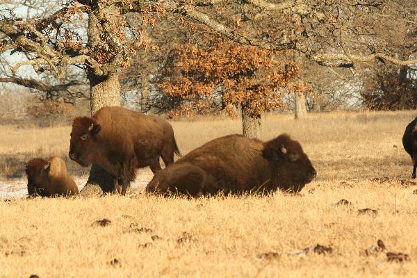  Bildname: IMG_5796.JPG 
 Breite: 3888 Pixel 
 H�he: 2592 Pixel 
 Gr�sse: 5.166 kB 