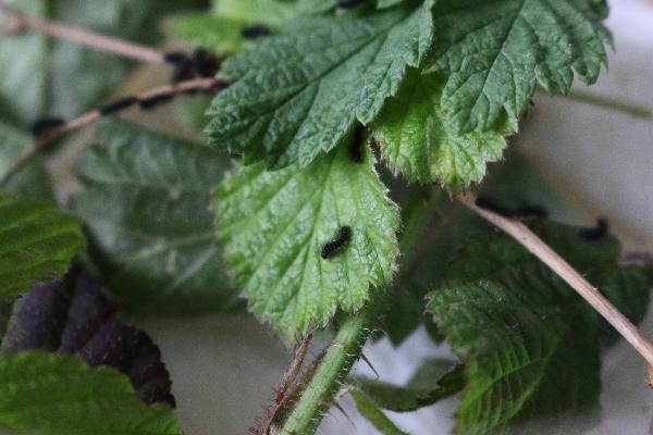  Bildname: IMG_8085.JPG 
 Breite: 5472 Pixel 
 H�he: 3648 Pixel 
 Gr�sse: 7.370 kB 