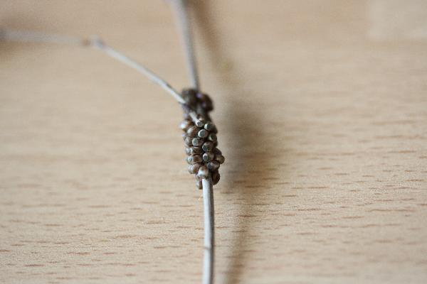  Bildname: IMG_8170.JPG 
 Breite: 5472 Pixel 
 H�he: 3648 Pixel 
 Gr�sse: 5.762 kB 