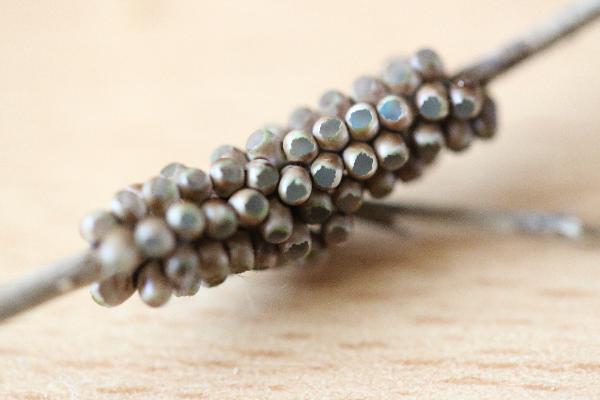  Bildname: IMG_8172.JPG 
 Breite: 5472 Pixel 
 H�he: 3648 Pixel 
 Gr�sse: 6.317 kB 