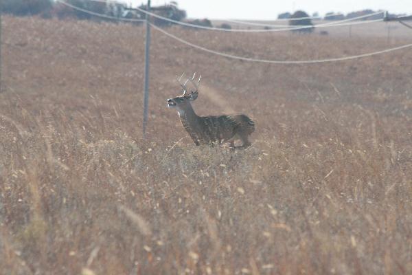  Bildname: IMG_5011.JPG 
 Breite: 3888 Pixel 
 H�he: 2592 Pixel 
 Gr�sse: 3.476 kB 