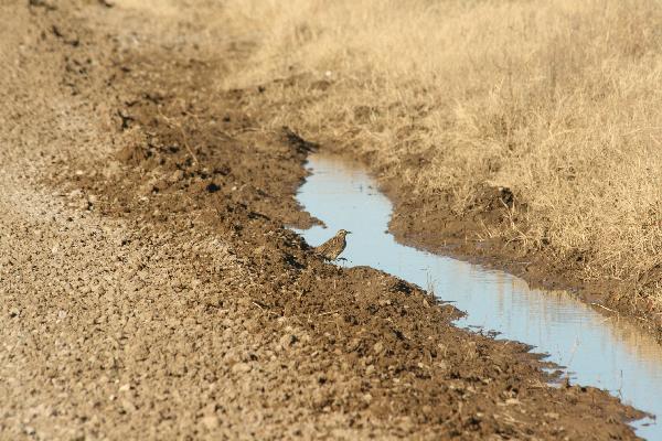  Bildname: IMG_6011.JPG 
 Breite: 3888 Pixel 
 H�he: 2592 Pixel 
 Gr�sse: 4.713 kB 