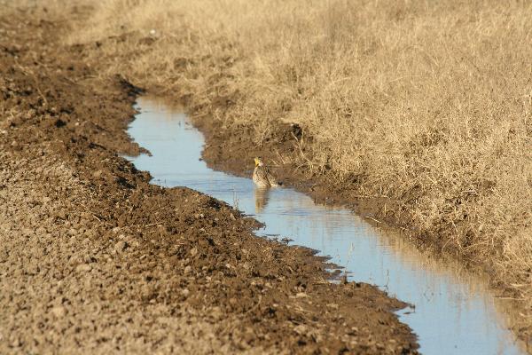  Bildname: IMG_6020.JPG 
 Breite: 3888 Pixel 
 H�he: 2592 Pixel 
 Gr�sse: 4.950 kB 