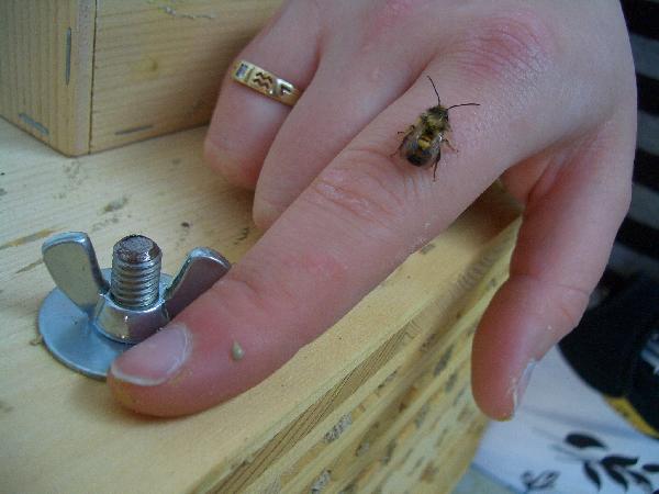  Bildname: CIMG5945.JPG 
 Breite: 2048 Pixel 
 H�he: 1536 Pixel 
 Gr�sse: 1.623 kB 