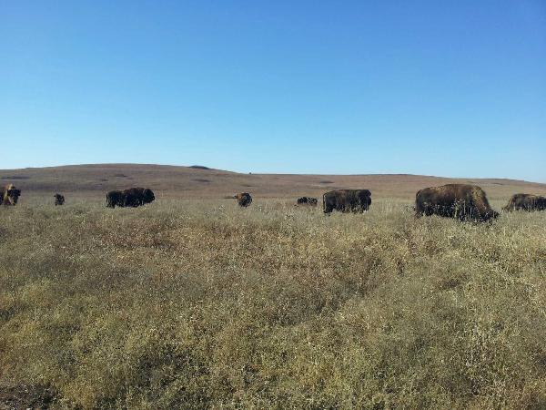  Bildname: 2013-12-17 10.32.47.jpg 
 Breite: 1632 Pixel 
 H�he: 1224 Pixel 
 Gr�sse: 226 kB 