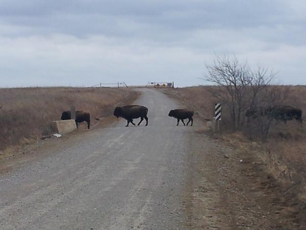  Bildname: 2013-12-19 11.13.01.jpg 
 Breite: 3264 Pixel 
 H�he: 2448 Pixel 
 Gr�sse: 1.323 kB 