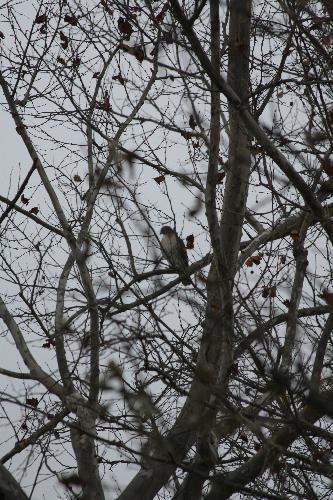  Bildname: IMG_5216.JPG 
 Breite: 2592 Pixel 
 H�he: 3888 Pixel 
 Gr�sse: 1.348 kB 