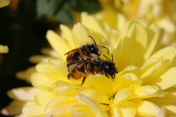  Bildname: IMG_8281.JPG 
 Breite: 5472 Pixel 
 H�he: 3648 Pixel 
 Gr�sse: 4.324 kB 