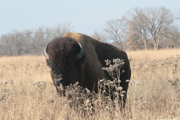  Bildname: IMG_4982.JPG 
 Breite: 3888 Pixel 
 H�he: 2592 Pixel 
 Gr�sse: 3.812 kB 