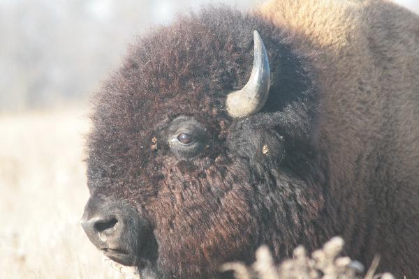  Bildname: IMG_4983.JPG 
 Breite: 3888 Pixel 
 H�he: 2592 Pixel 
 Gr�sse: 3.688 kB 