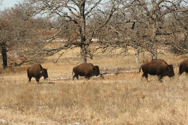  Bildname: IMG_5708.JPG 
 Breite: 3888 Pixel 
 H�he: 2592 Pixel 
 Gr�sse: 6.487 kB 