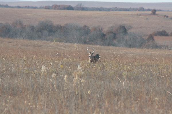  Bildname: IMG_5006.JPG 
 Breite: 3888 Pixel 
 H�he: 2592 Pixel 
 Gr�sse: 3.588 kB 