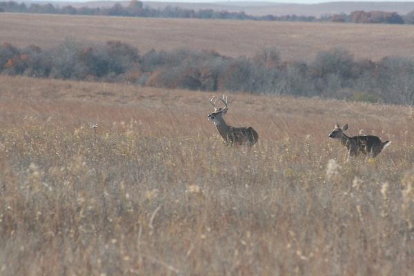  Bildname: IMG_5007.JPG 
 Breite: 3888 Pixel 
 H�he: 2592 Pixel 
 Gr�sse: 3.518 kB 