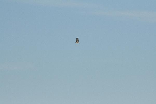  Bildname: IMG_5319.JPG 
 Breite: 3888 Pixel 
 H�he: 2592 Pixel 
 Gr�sse: 3.370 kB 