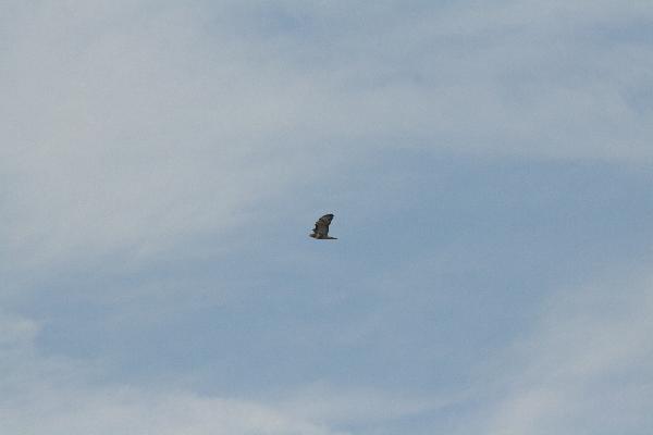  Bildname: IMG_5324.JPG 
 Breite: 3888 Pixel 
 H�he: 2592 Pixel 
 Gr�sse: 3.391 kB 