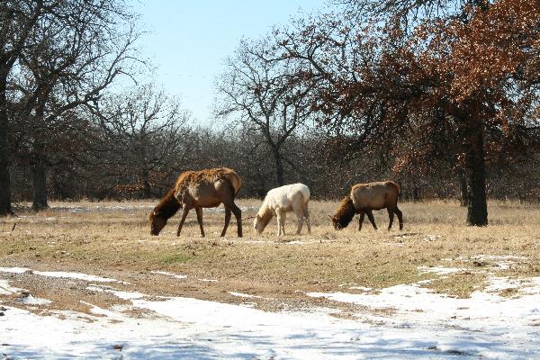  Bildname: IMG_5672.JPG 
 Breite: 3888 Pixel 
 H�he: 2592 Pixel 
 Gr�sse: 6.432 kB 