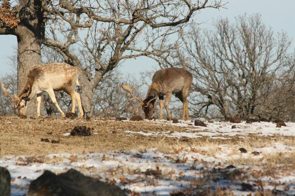  Bildname: IMG_5700.JPG 
 Breite: 3888 Pixel 
 H�he: 2592 Pixel 
 Gr�sse: 4.751 kB 