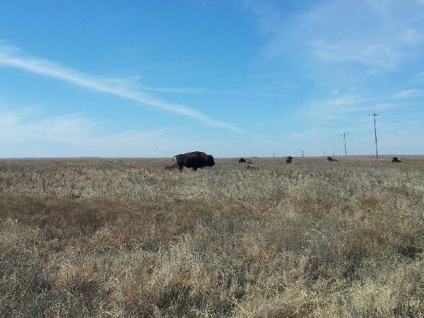  Bildname: 2013-11-28 11.59.37.jpg 
 Breite: 1632 Pixel 
 H�he: 1224 Pixel 
 Gr�sse: 188 kB 