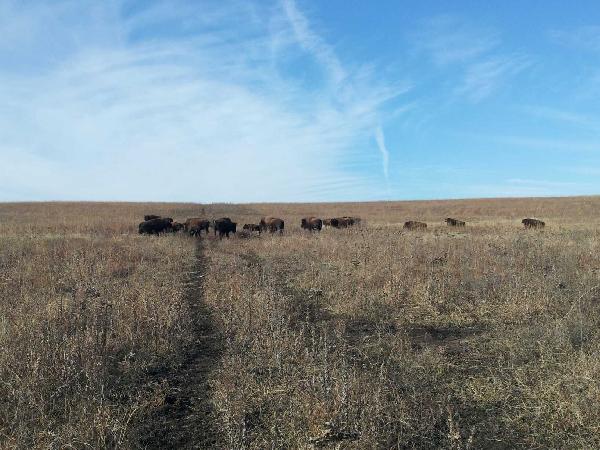  Bildname: 2013-11-30 10.08.08.jpg 
 Breite: 1632 Pixel 
 H�he: 1224 Pixel 
 Gr�sse: 211 kB 