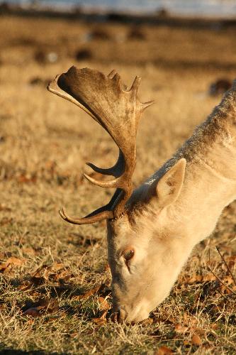  Bildname: IMG_5791.JPG 
 Breite: 2592 Pixel 
 H�he: 3888 Pixel 
 Gr�sse: 5.537 kB 